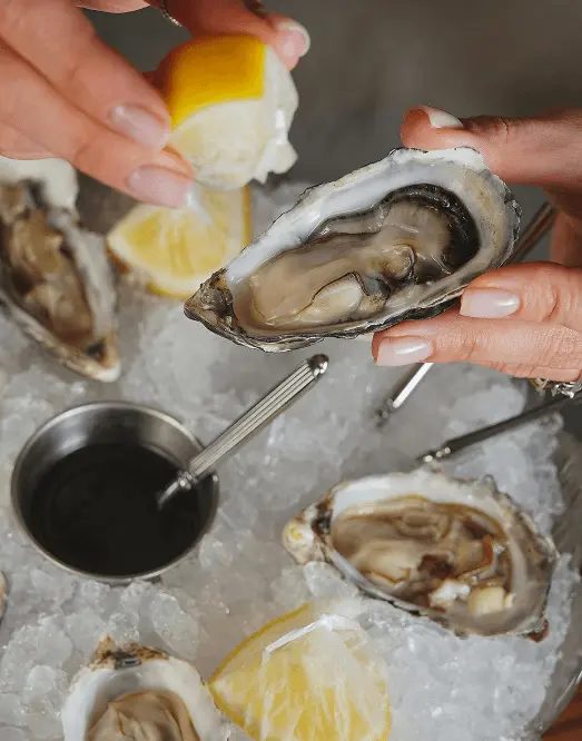 Dégustation d’huîtres